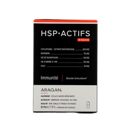 Synactifs HSP Actifs - 10 gélules