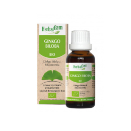 Herbalgem Macérat-Mère Concentré Ginkgo Biloba BIO - 30ml