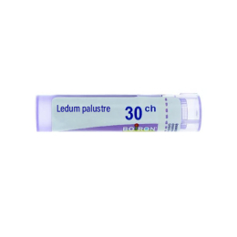 Boiron Ledum palustre 30CH Tube - 4g