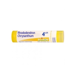 Rhododendron Chrysanthum 4CH Tubes - 4g