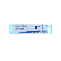 Boiron Hepar Sulfuris Calcareum Tube 9CH - 4g