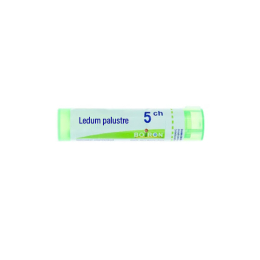 Boiron Ledum palustre 5CH Dose - 1g