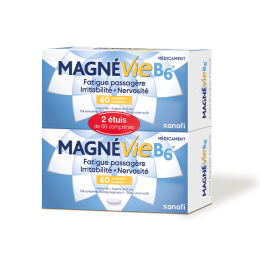 Magnévie B6 - 120 comprimés