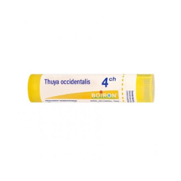 Boiron Thuya Occidentalis 4CH Tube - 4 g