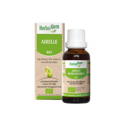 Herbalgem Macérat-Mère Concentré Airelle BIO - 30ml