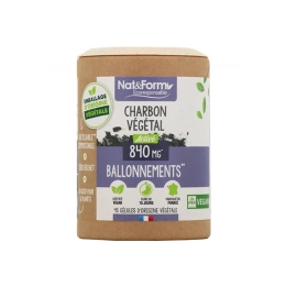 Ecoresponsable Charbon Végetal Activé - 45 gélules