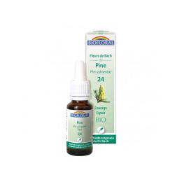 Biofloral Fleurs de Bach n°24 Pine/ Pin sylvestre BIO - 20ml