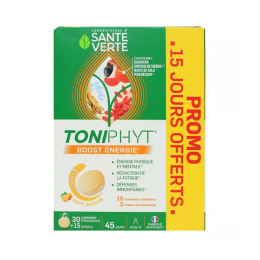 Toniphyt Boost Energie - 45 comprimés