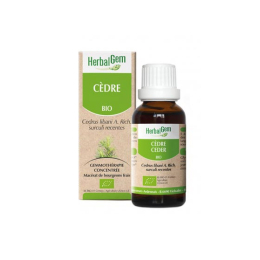 Herbalgem Macérat-Mère Concentré Cèdre BIO - 30 ml