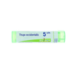 Boiron Thuya occidentalis 5CH Tube - 4g