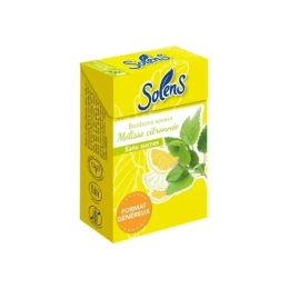 Bonbons Mélisse Citronnée Sans Sucres - 80g