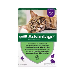 Advantage 80 Chat et Lapin de plus de 4 kg - 4 pipettes de 0,8 ml