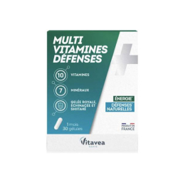 Nutrisanté Multivitamines Défenses - 20 gélules