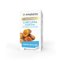 Arkopharma Arkogélules Curcuma Pipérine - 40 gélules