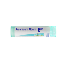 Boiron Arsenicum Album 6CH Tube - 4 g