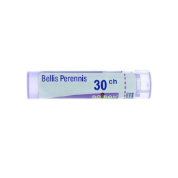 Boiron Bellis Perennis 30CH Tube - 4 g