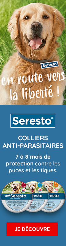 Hygiène, soins, santé