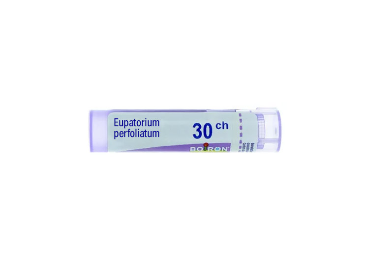 Boiron Eupatorium perfoliatum 30CH Tube - 4g