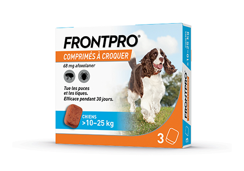 Boîte de 3 comprimés à croquer Frontpro L 10-25 kg