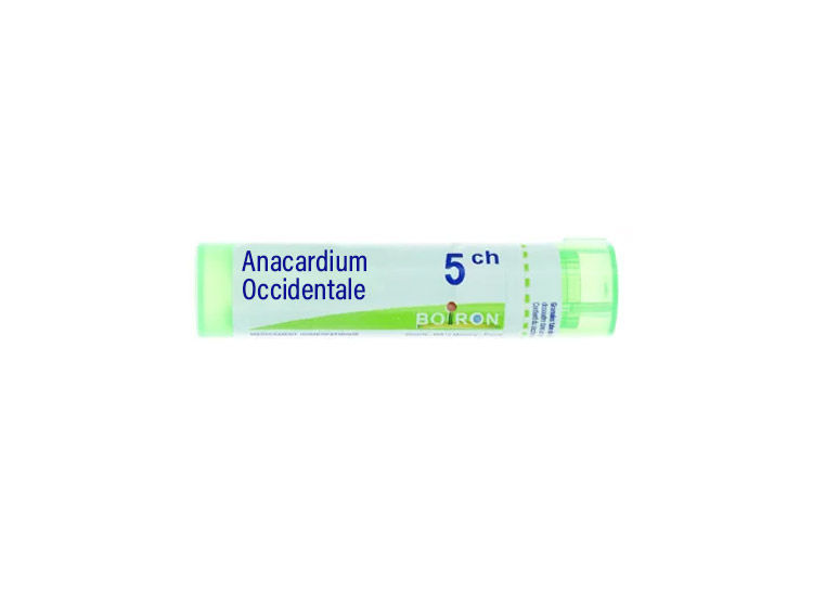 Boiron Anacardium Occidental 5CH Tube - 4 g