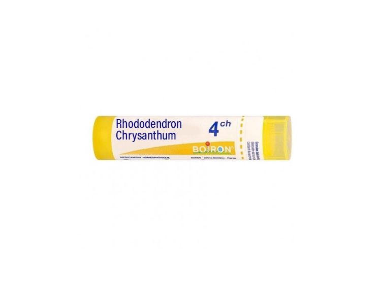 Rhododendron Chrysanthum 4CH Tubes - 4g