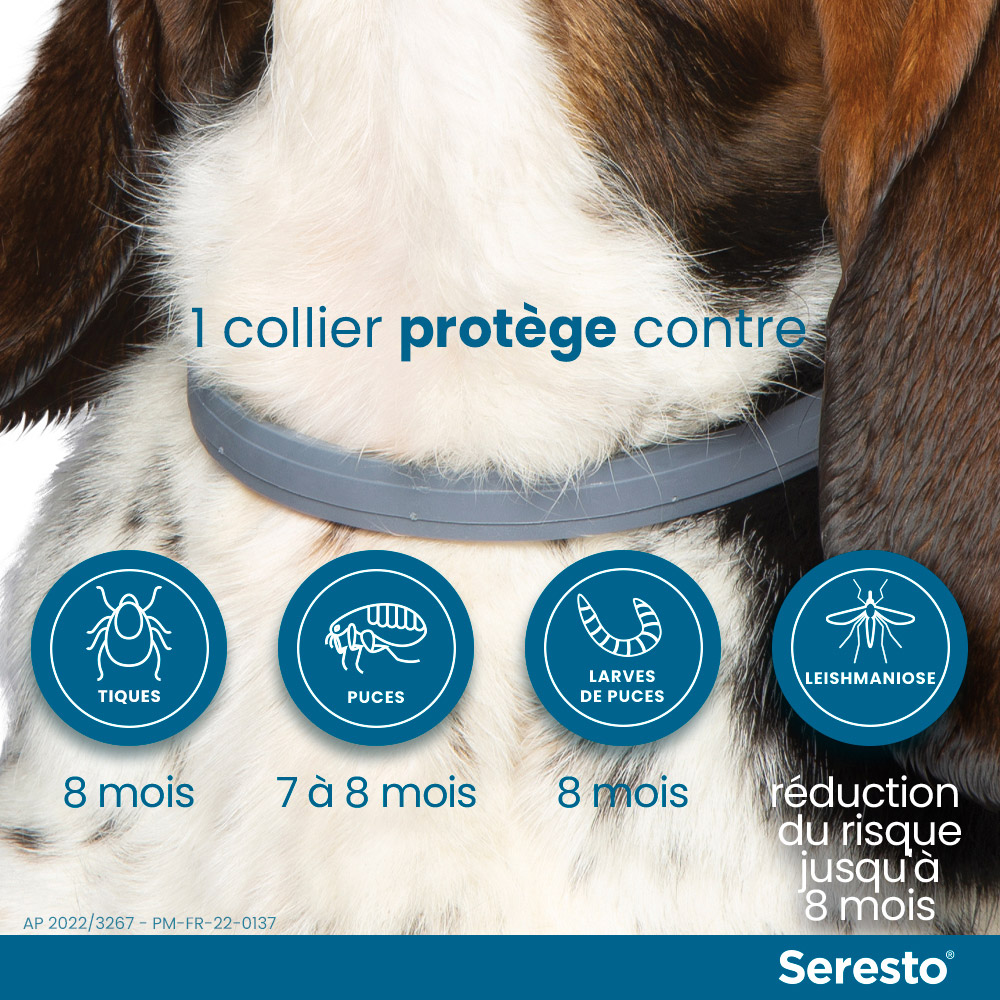 Seresto Chat Collier Anti-Puces et Anti-Tiques 1 unité