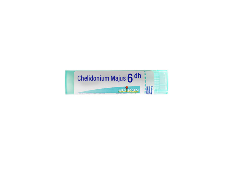 Boiron Chelidonium Majus 6DH Tube - 4g