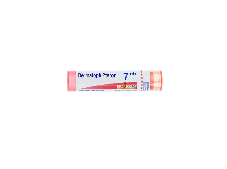 Boiron Dermatoph Pteron Dose 7CH - 1g