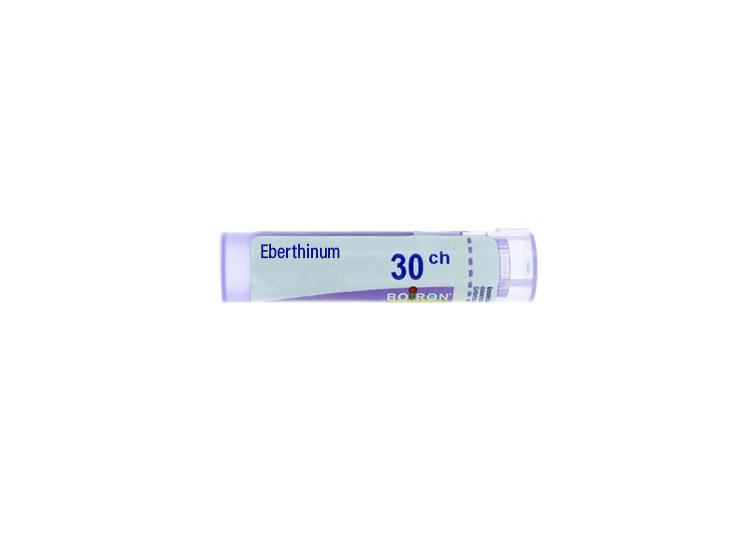 Boiron Eberthinum 30CH Dose - 1 g